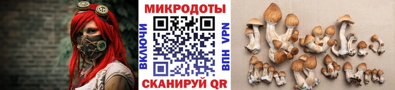 Галлюциногенные грибы Psilocybe  Кирс 