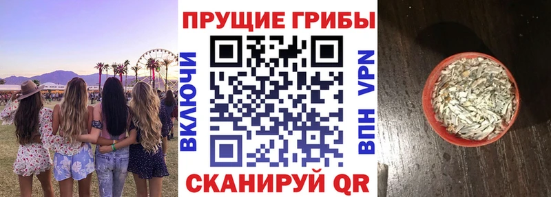 Галлюциногенные грибы Magic Shrooms Кирс